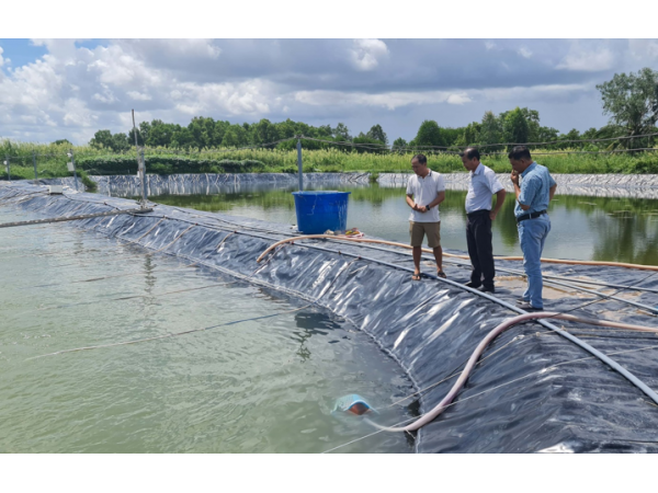 Bạc Liêu phấn đấu sớm trở thành trung tâm ngành công nghiệp tôm của cả nước