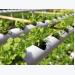 What type of crops are suitable for hydroponics