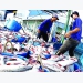 US greenlights raw catfish imports from Vietnam