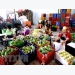 Fruit, vegetable exports down 9.9 percent in Jan-Feb