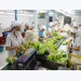 Australia increases imports of Vietnamese processed fruit, vegetables