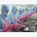 S Korea to inspect VN shrimp firms