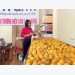 Hoa Binh to promote processing, trade promotion for farm produce