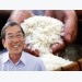 From humble start to world’s best rice