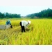 Over $13 billion spent on agriculture restructuring