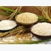 Sharp rise in rice exports