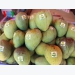 Son La mangoes exported to demanding markets