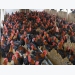 Vietnamese enterprises massively increase poultry farming