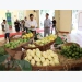 EU enhances inspections on Vietnam’s agricultural products from Sept 1