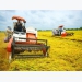 Agricultural troubles hampering business recovery