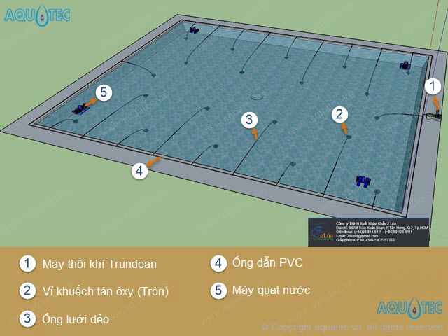 Sục khí đáy ao nuôi tôm