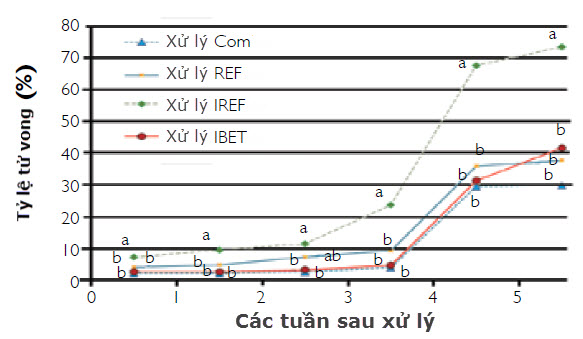 IBệnh hoại tử cơ trên tôm - IMNV