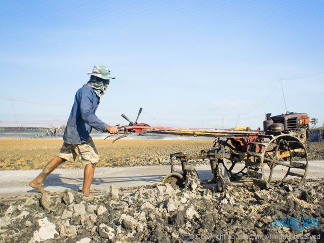 Máy tạo ôxy ao nuôi tôm