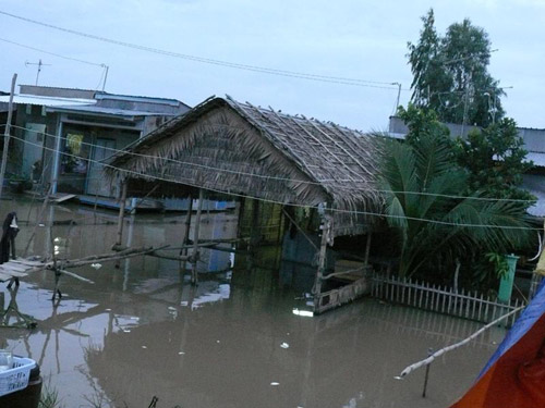 mùa nước nổi 2011