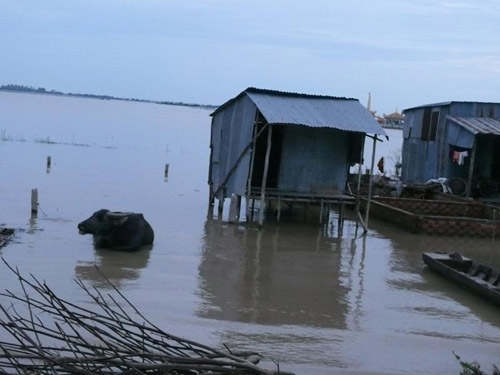 mùa nước nổi 2011