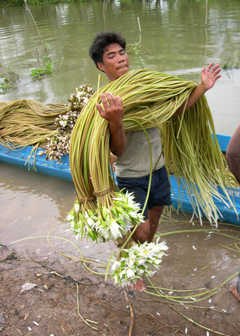 mưu sinh mùa lũ 2011