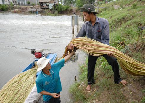 mưu sinh mùa lũ 2011